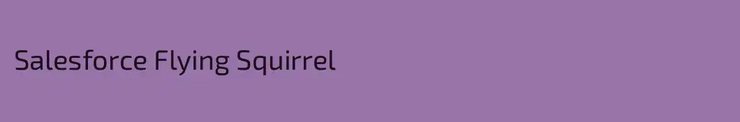Salesforce Flying Squirrel